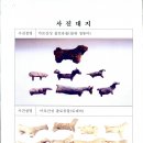 광양 마로산성 이미지