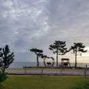 코스모스부동산중개 이미지