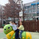 파란나무유치원 | 경기도 아이와 갈만한 곳 오산 버드파크 한 번쯤 다녀와볼 만해요