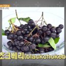 진단플러스 이미지