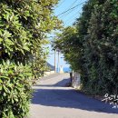 우리두리게스트하우스 이미지