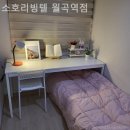 소호리빙텔 - 동작구 사당로23길 2 | 소호리빙텔