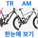 한 눈에 보는 MTB 장르 | XC, 트레일, 엔듀로, 다운힐, 프리라이드 자전거개론 Bicycle101 구독자 6.95만명 이미지