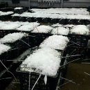 서해꽃게전문점 이미지