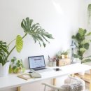 덕자네커피 이미지