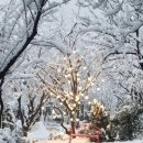 힐링캠프캠핑장 이미지