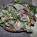 자연대로4 이미지