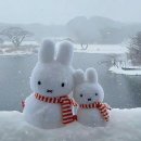 카페친구 이미지