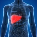 오대한의원 이미지