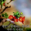 정서주 - 우리 어머니 이미지