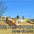 보현산녹색체험터그린카페(카페브리즈) | 경북 영천 보현산 녹색체험터 무료 대형 놀이터 대구 근교 아이랑 소풍