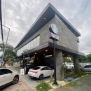 대장동 Daum카페