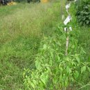 과림농장 이미지