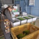 하늘그린 이미지