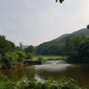 스카이폴리스공인중개사사무소 이미지