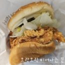 싸이다방 이미지