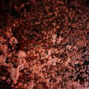 불타는 양꼬치 이미지