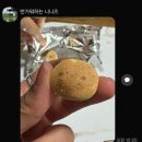 콜라피시방(인-326호) | [2025.11.1. ~9.(일)] 다음 시험을 위한 이보 전진을 위한 일보후퇴