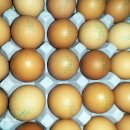 감포해수탕 이미지