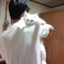 봉곡동011 이미지