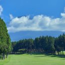 노송골프 이미지