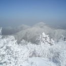 제11차 인천 송암 산악회 정기산행 이미지