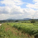 망경산성 이미지