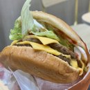 롯데리아 부산비프광장점 | 부산 동구 롯데리아 부산역점 모짜렐라버거 발사믹바질, 더블엑스투버거 솔직후기