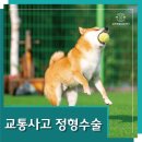 닥터리동물병원 이미지