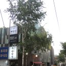 부산식당 이미지