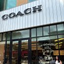 대동콜렉션 | 5월의 첫 휴스턴 당일치기(feat. 버키스, 메닐 콜렉션, 로스코 채플, 미술 작품 감상 팁 소개, 휴스턴...