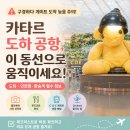 디앤비푸드(D&B Food) | 카타르 도하 하마드 공항, 구경하다 게이트 도착 늦음 주의!