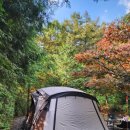 B캠핑장 화장실 | [공지] 충남 부여 캠핑장 추천 내안의숲 오토캠핑장 B-1 후기