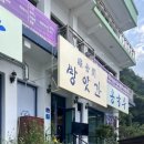 터미널방앗간 | 홍천 터미널 맛집 방앗간막국수 내돈내산 콩국수 후기