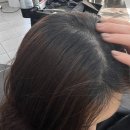 박수진헤어 - 익산시 | 울산 북구 신천동 뿌리염색 미용실 박수진헤어모드
