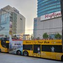 (주)노랑풍선시티버스 | 서울 노랑풍선 시티투어버스 야경투어 내돈내산 후기