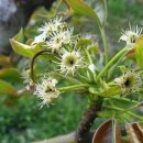 원주시농업기술센터 이미지