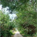 금산마을 이미지