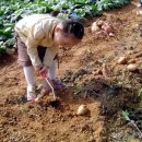 개정동사무소 이미지