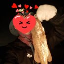 모차호텔 이미지