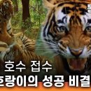 황제 어미의 자리를 이은 딸 마츨리, 그 특별했던 이야기 4부 이미지