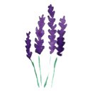 케이팜스타 이미지