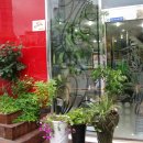 미주리헤어 이미지