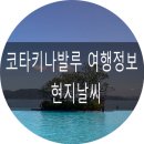 코나여행사