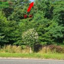 내곡동436 이미지