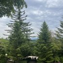 코스빈 | 영주 카페 | 부석사 산책 후 필수코스 [애플빈커피] 메뉴, 주차 솔직후기