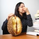 두리안