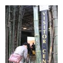 오쇼라즈니쉬 명상 이미지