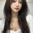 도봉로82길 이미지