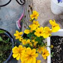 심곡정미소 이미지